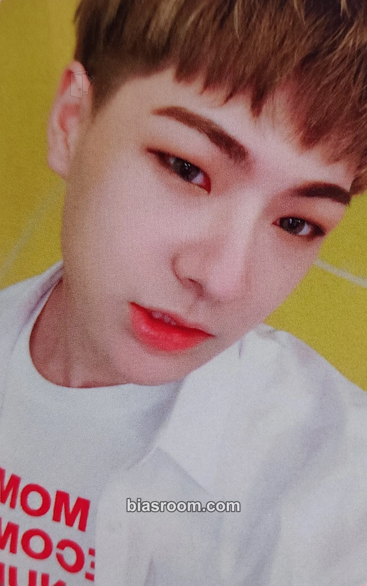 Hanse ALICE Fanclub Membership Photocard - VICTON - VICTON K-pop photocard