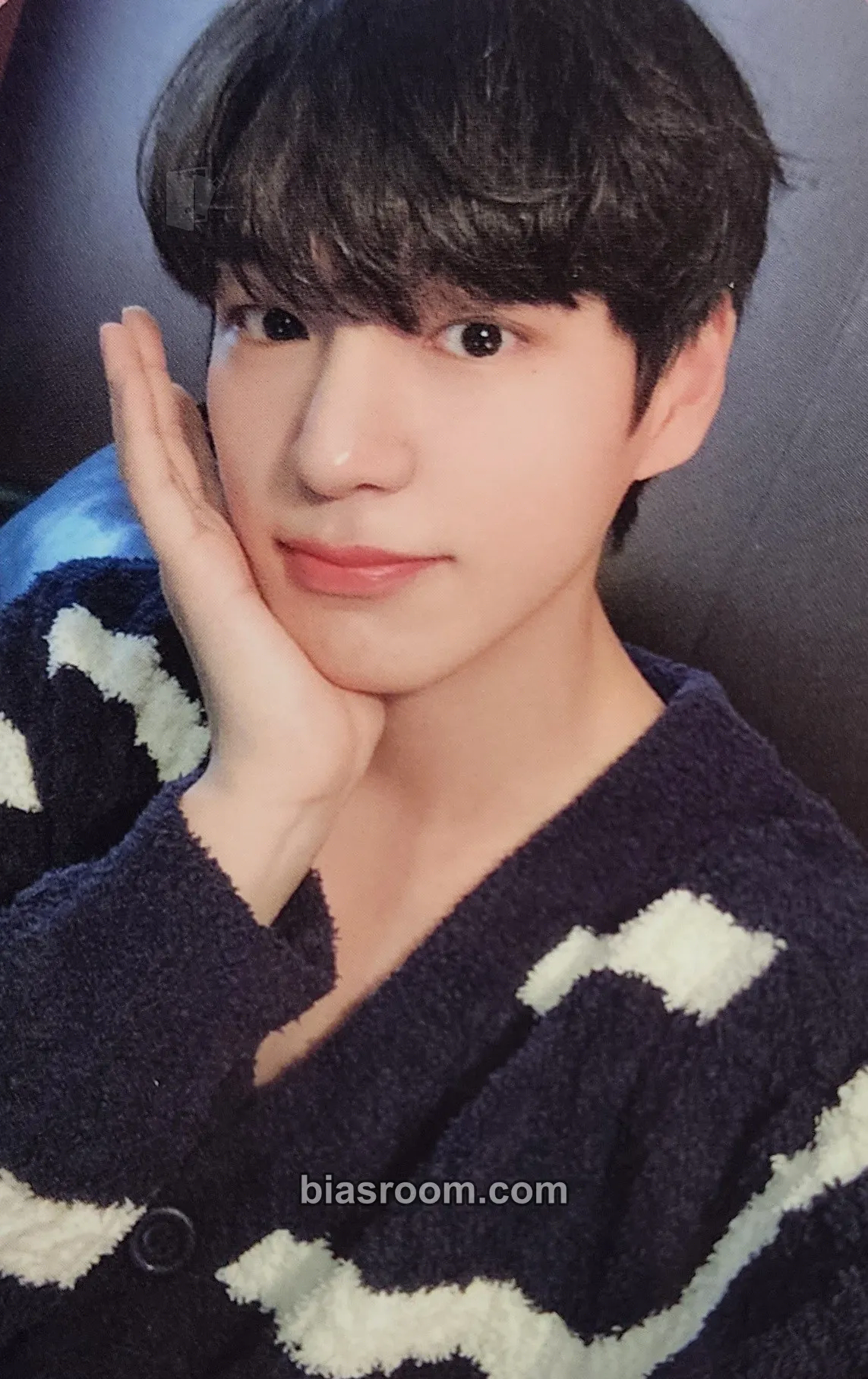 Chan Season's Greetings (2020, 2021, 2022, 2023) Photocard - VICTON - VICTON K-pop photocard