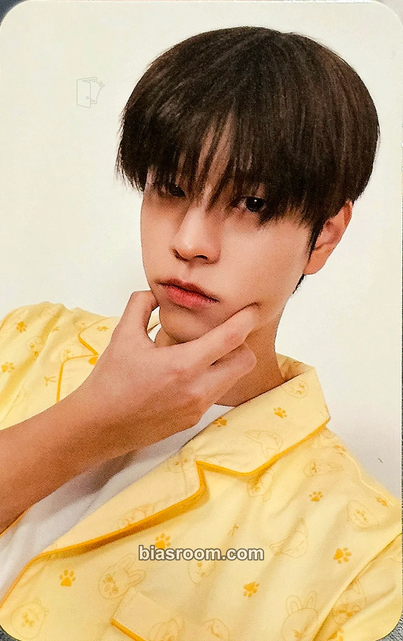 Seungmin STAY JAPAN Anniversary Photocard - Stray Kids - Stray Kids K-pop photocard