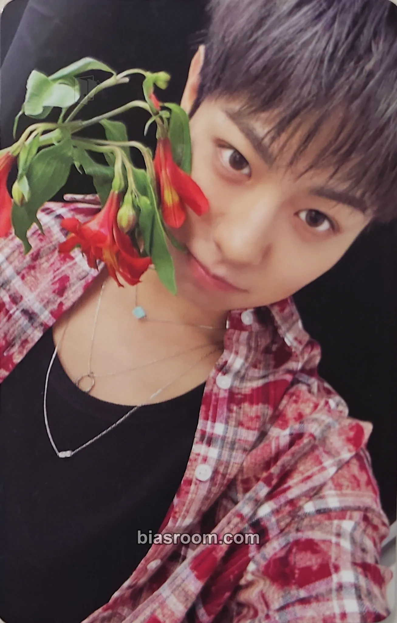 Keita Un: SEEN Photocard - EVNNE - EVNNE K-pop photocard