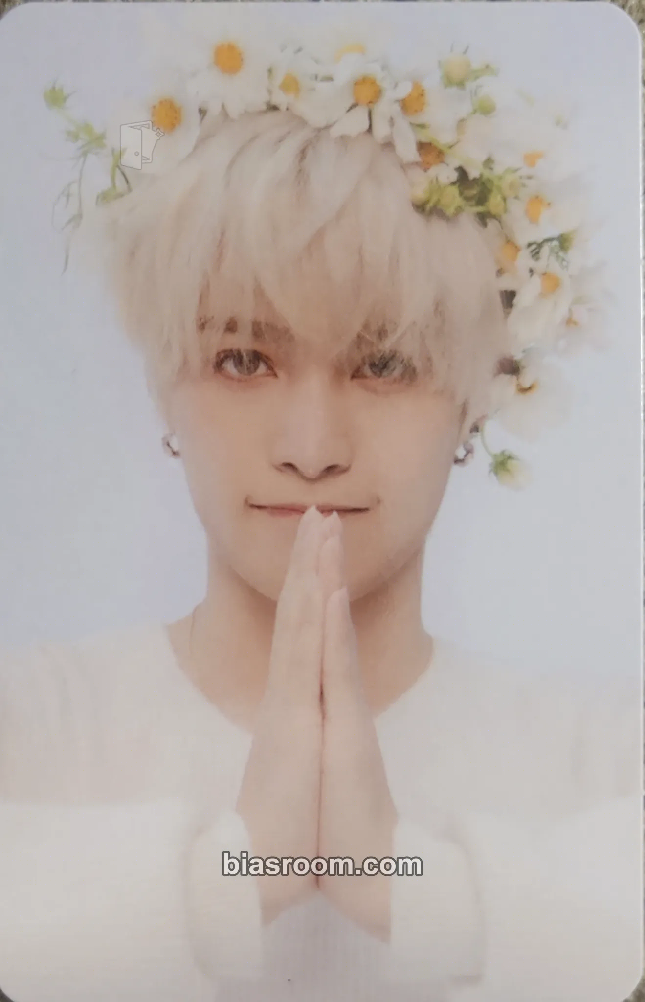 Yangyang 2023 Season's Greetings Photocard - WayV - WayV K-pop photocard