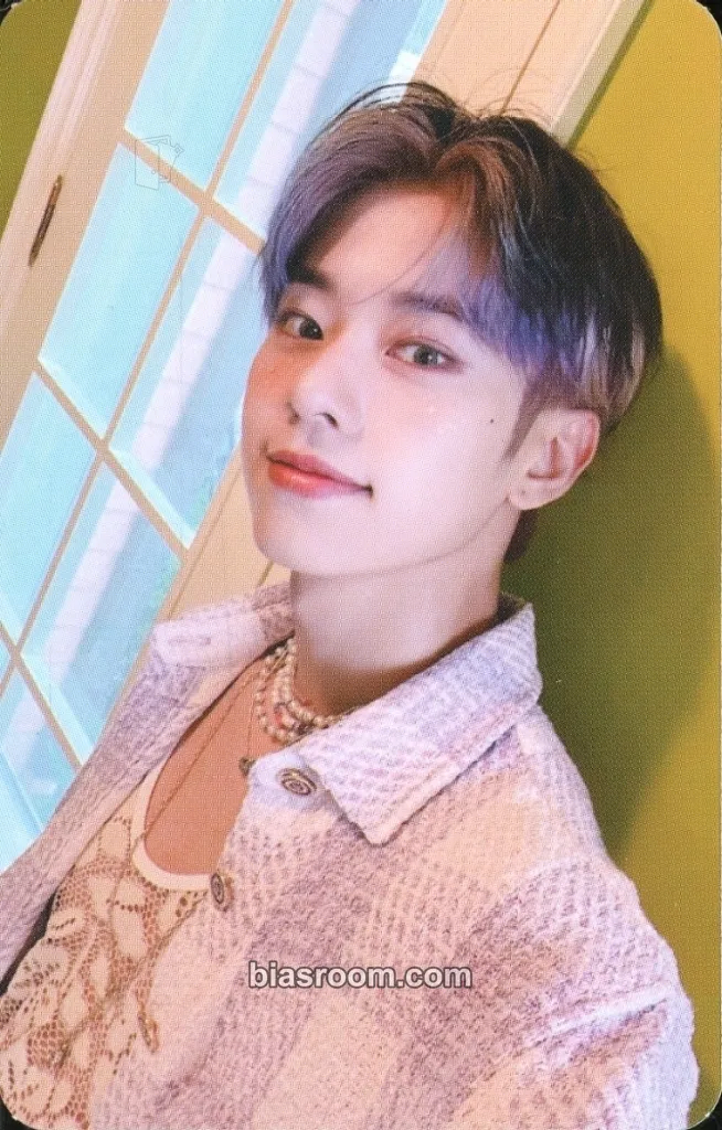 Donghyun TAKE A CHANCE Photocard - AB6IX - AB6IX K-pop photocard
