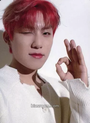 Woojin Absolute 6IX Photocard - AB6IX - AB6IX K-pop photocard