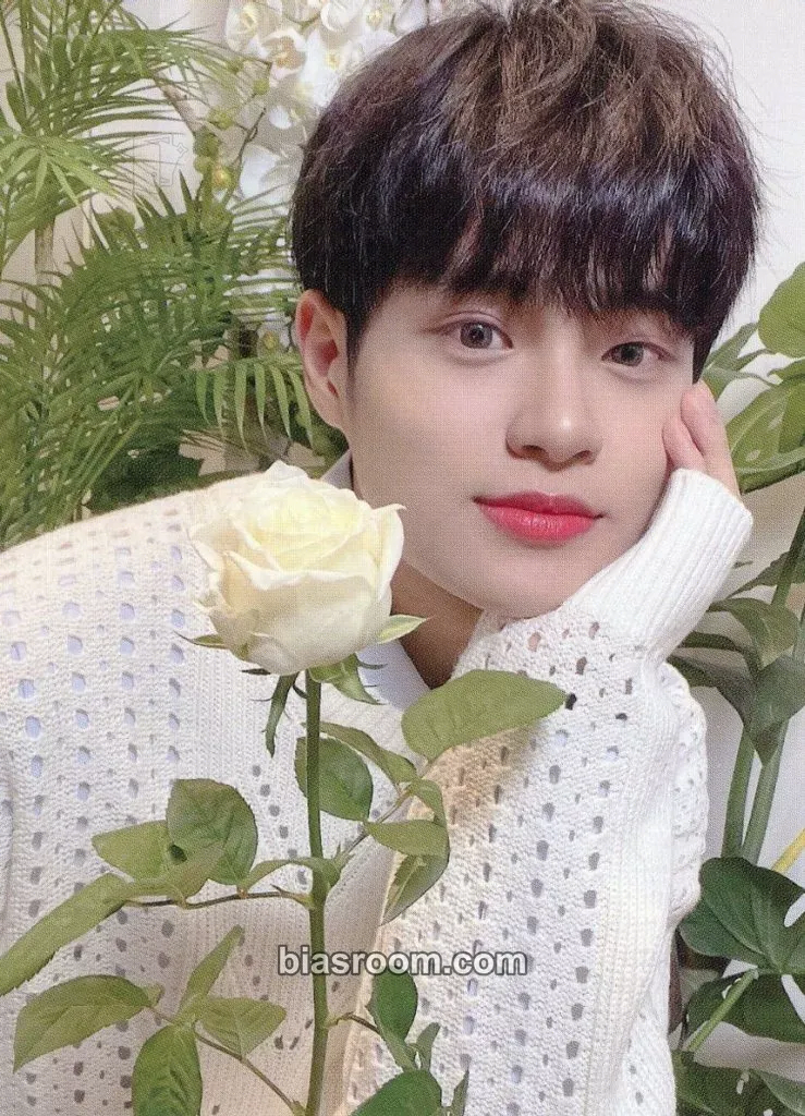 Daehwi Absolute 6IX Photocard - AB6IX - AB6IX K-pop photocard