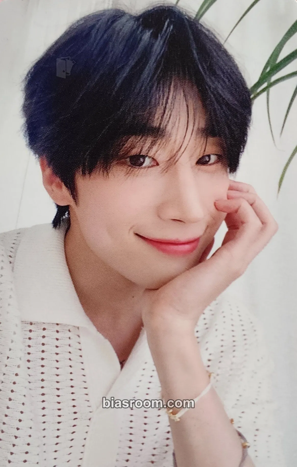 Seungwoo ALICE Fanclub Membership Photocard - VICTON - VICTON K-pop photocard