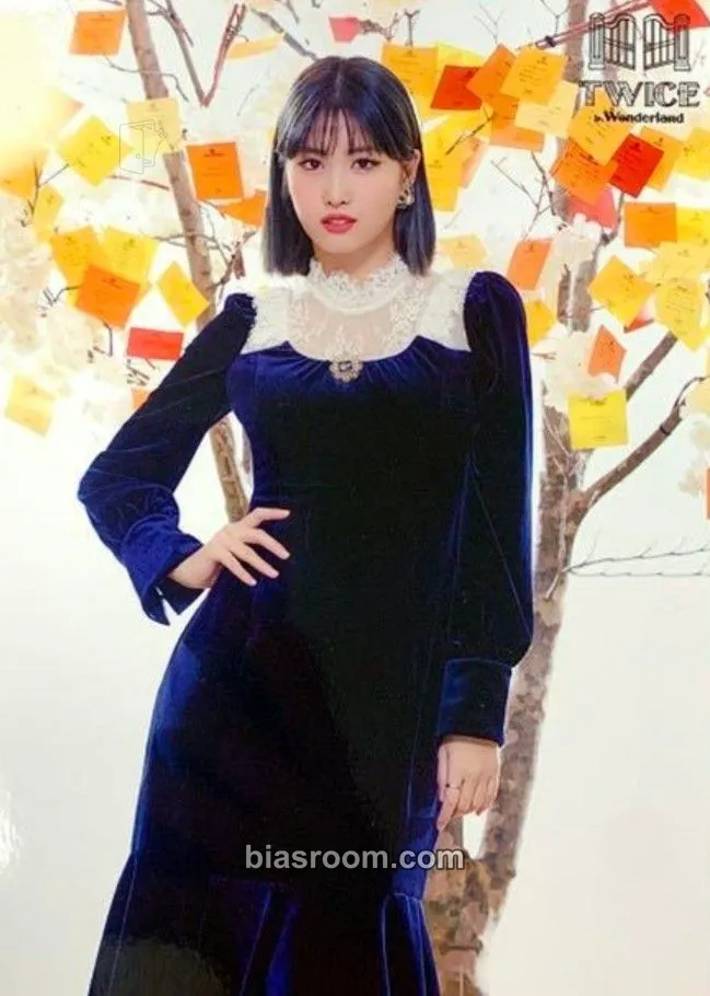 Momo TWICE in Wonderland Photocard - TWICE - TWICE K-pop photocard