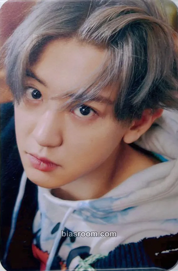 Chanyeol Don't Fight the Feeling Photocard - EXO - EXO K-pop photocard