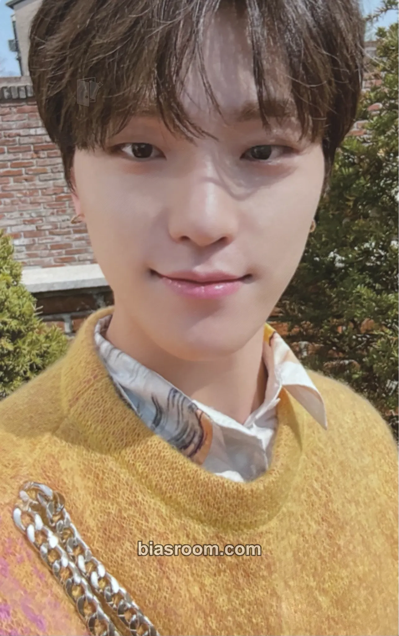 Dino Face the Sun Photocard - SEVENTEEN - SEVENTEEN K-pop photocard