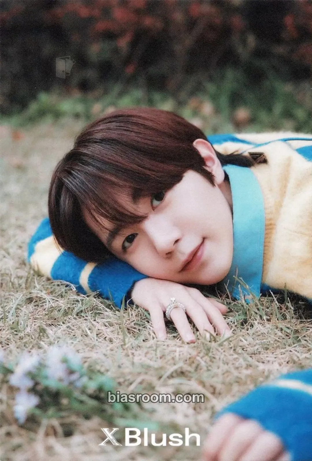 Ryo XBlush Magazine WINTER 2024 Photocard - NCT WISH - NCT WISH K-pop photocard