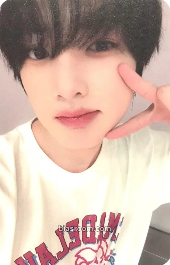 Sakuya Steady Photocard - NCT WISH - NCT WISH K-pop photocard