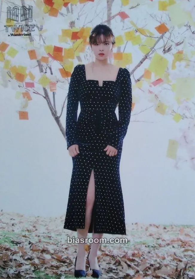 Jeongyeon TWICE in Wonderland Photocard - TWICE - TWICE K-pop photocard