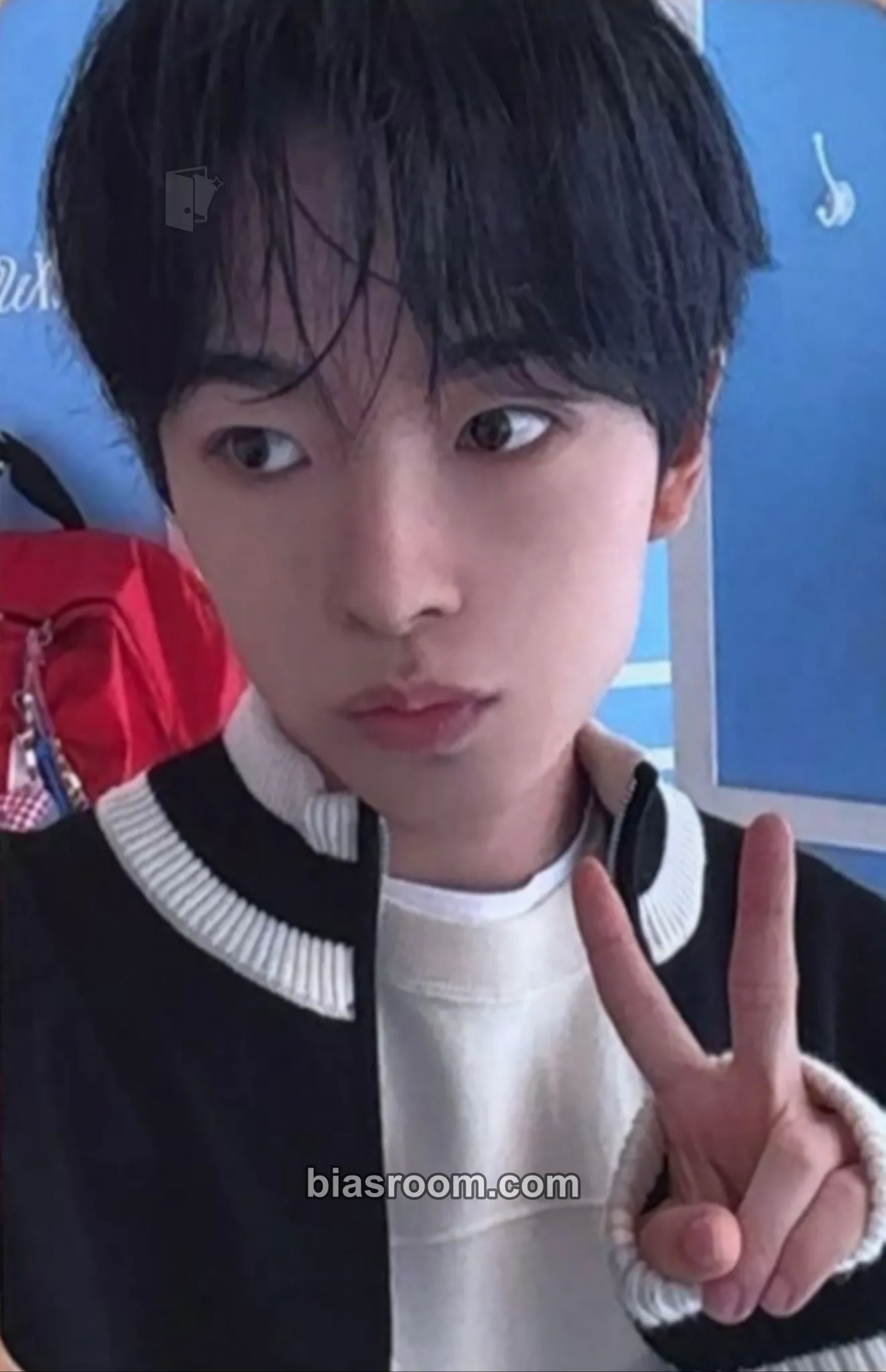 Yushi Steady Photocard - NCT WISH - NCT WISH K-pop photocard