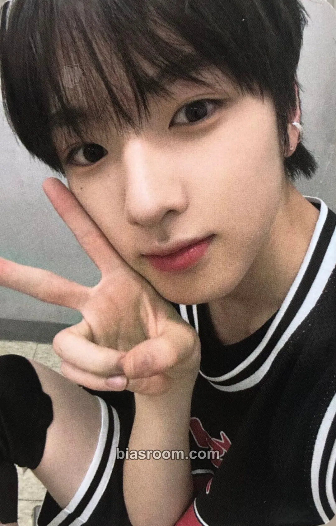 Sakuya Steady Photocard - NCT WISH - NCT WISH K-pop photocard