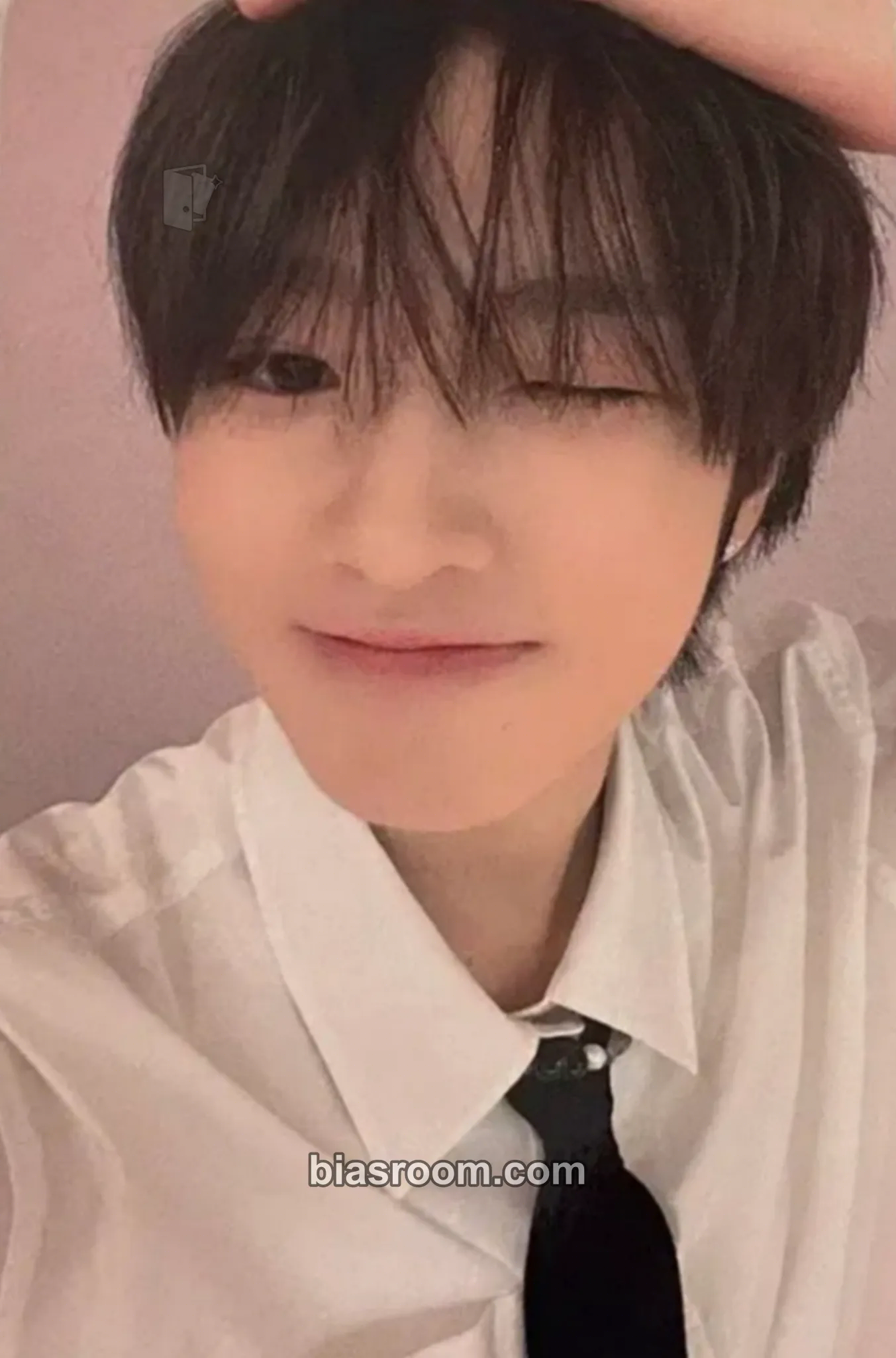 Sakuya Steady Photocard - NCT WISH - NCT WISH K-pop photocard