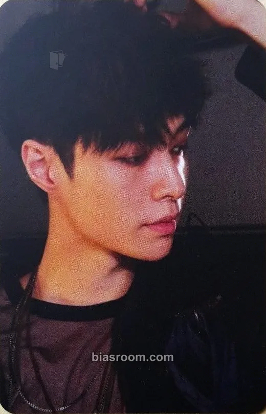 Lay EXO's 5th Debut Anniversary MD Photocard - EXO - EXO K-pop photocard