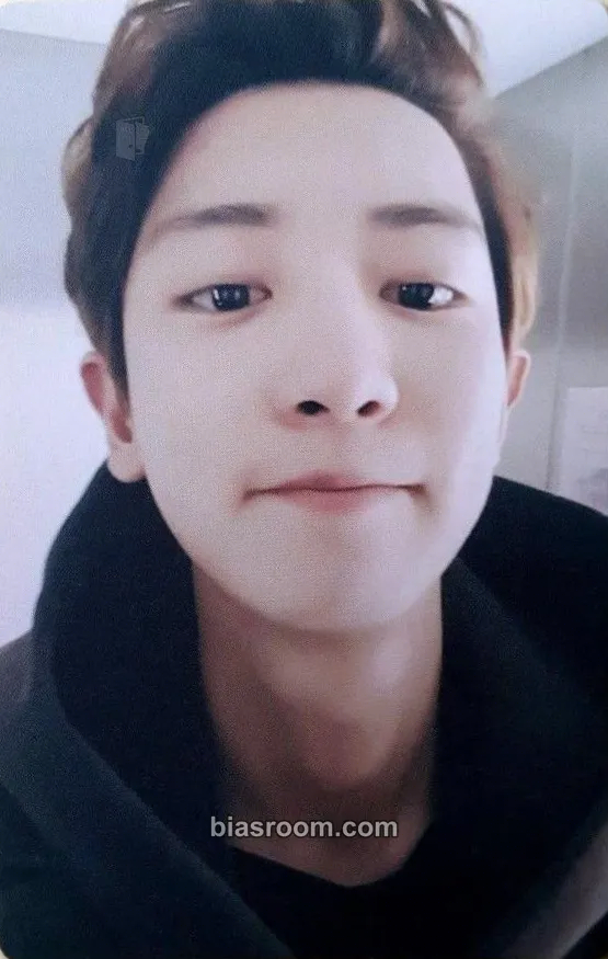 Chanyeol EXO's 5th Debut Anniversary MD Photocard - EXO - EXO K-pop photocard