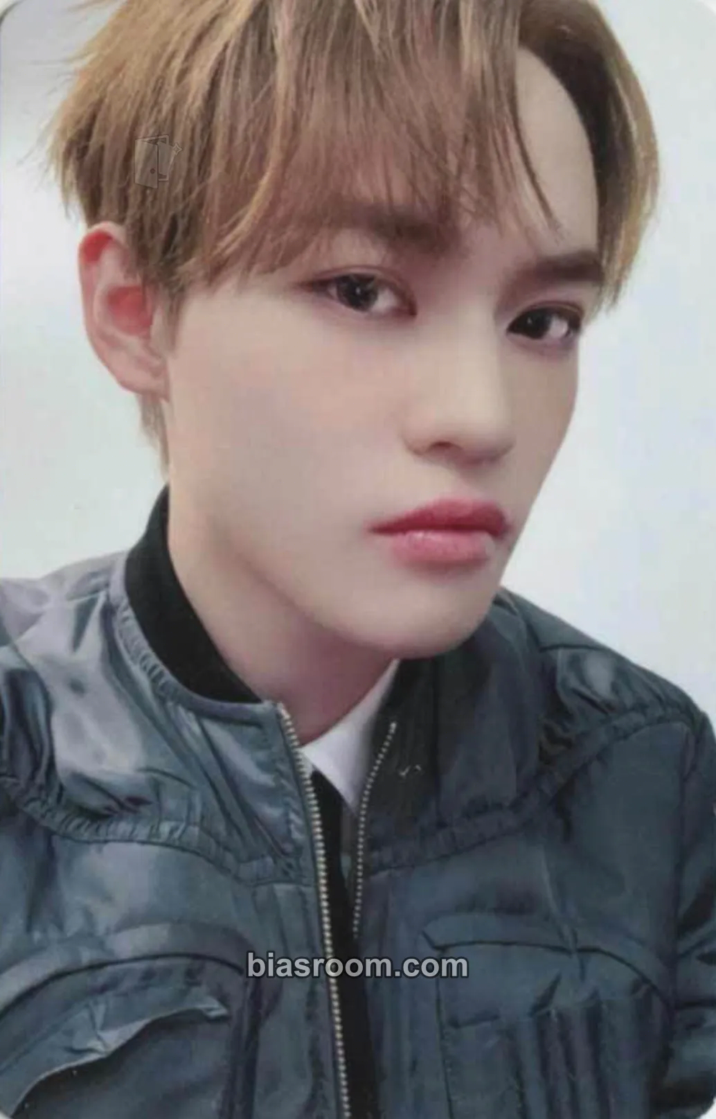 Chenle Dream()scape Photocard - NCT DREAM - NCT DREAM K-pop photocard
