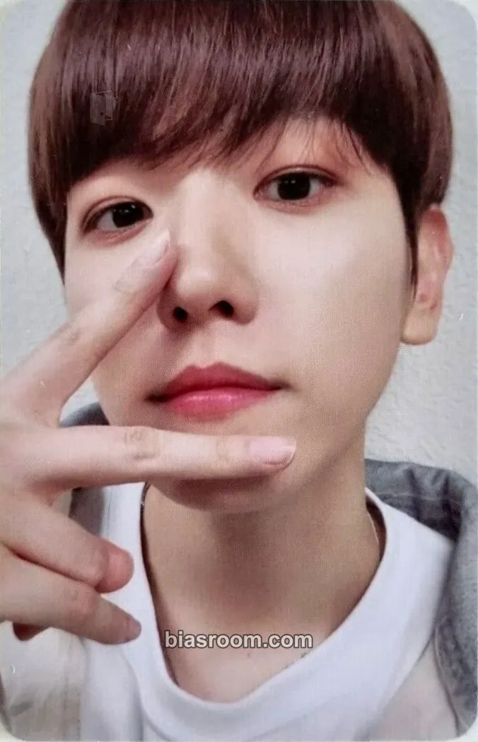 Baekhyun BAEKHYUN × TEOLAEGI + TEOLAEGI ZIPDURI MD Photocard - EXO - EXO K-pop photocard