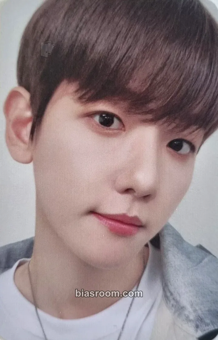 Baekhyun BAEKHYUN × TEOLAEGI + TEOLAEGI ZIPDURI MD Photocard - EXO - EXO K-pop photocard