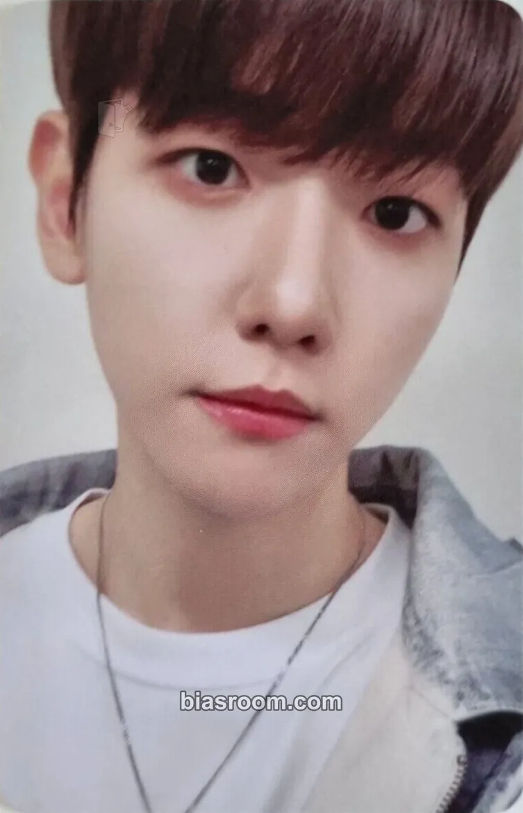 Baekhyun BAEKHYUN × TEOLAEGI + TEOLAEGI ZIPDURI MD Photocard - EXO - EXO K-pop photocard