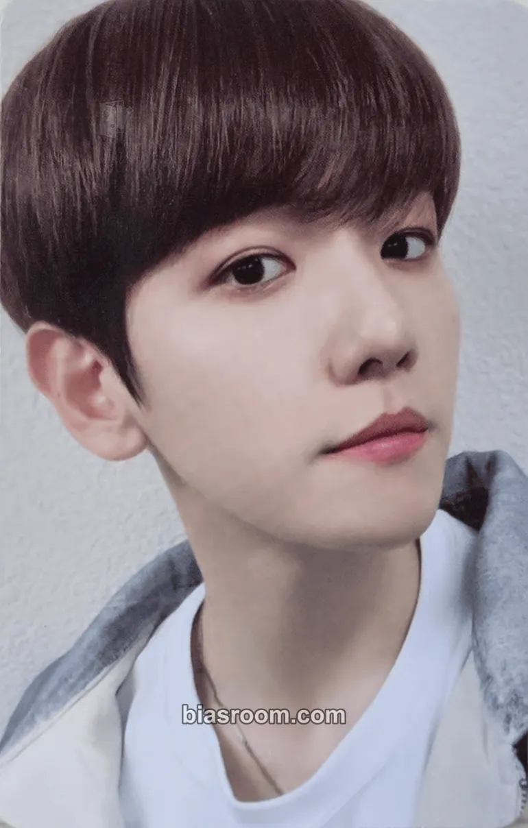Baekhyun BAEKHYUN × TEOLAEGI + TEOLAEGI ZIPDURI MD Photocard - EXO - EXO K-pop photocard