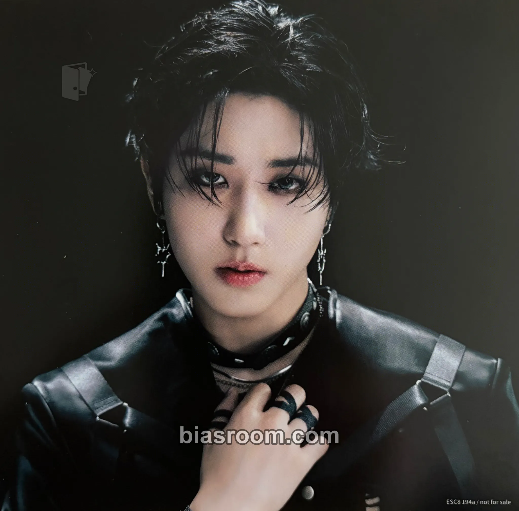 HAN GIANT Photocard - Stray Kids - Stray Kids K-pop photocard