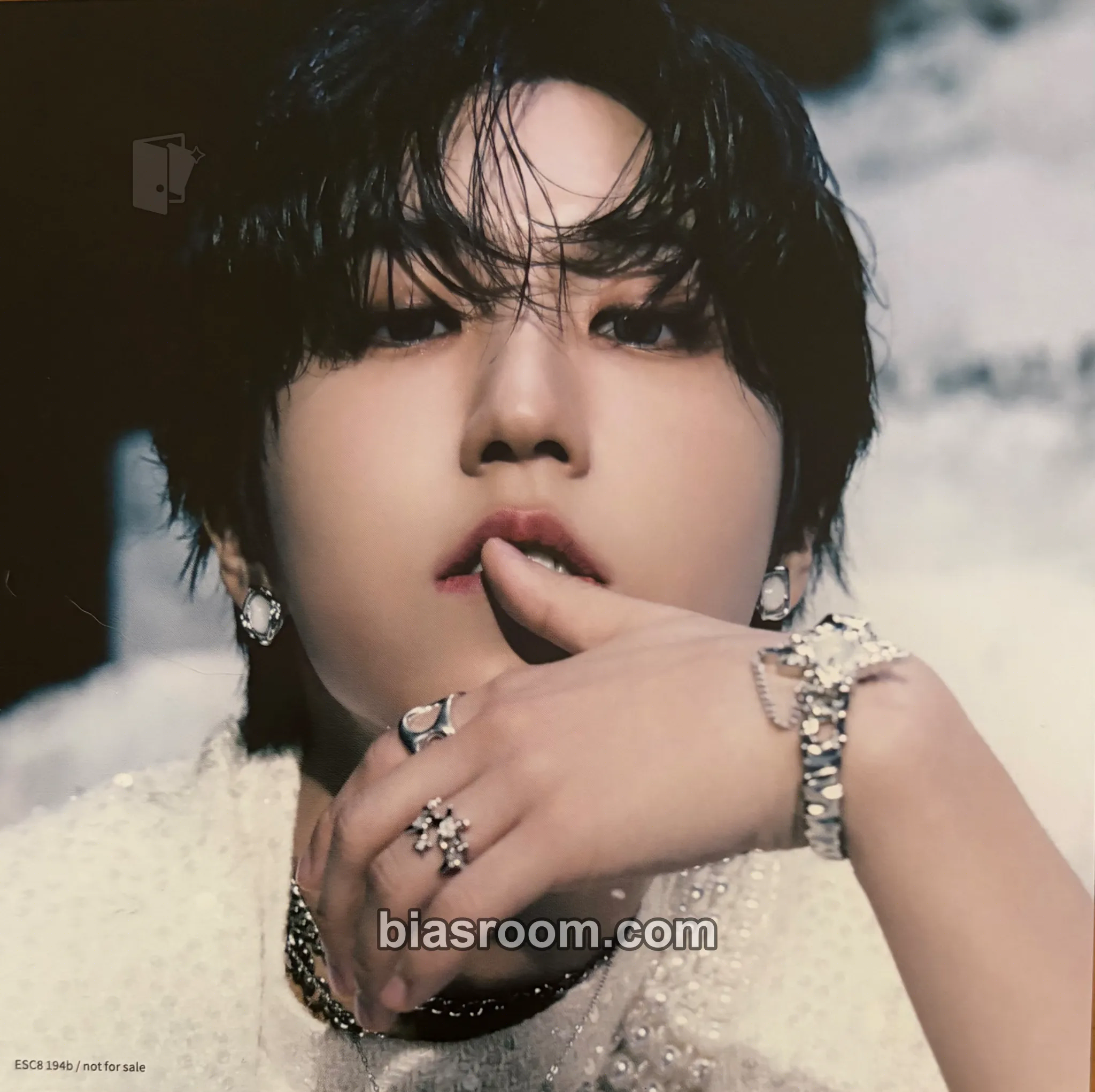 HAN GIANT Photocard - Stray Kids - Stray Kids K-pop photocard