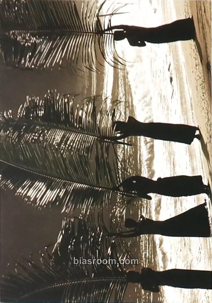 Shinhwa Photo Collection Wild Photocard - Shinhwa - Shinhwa K-pop photocard