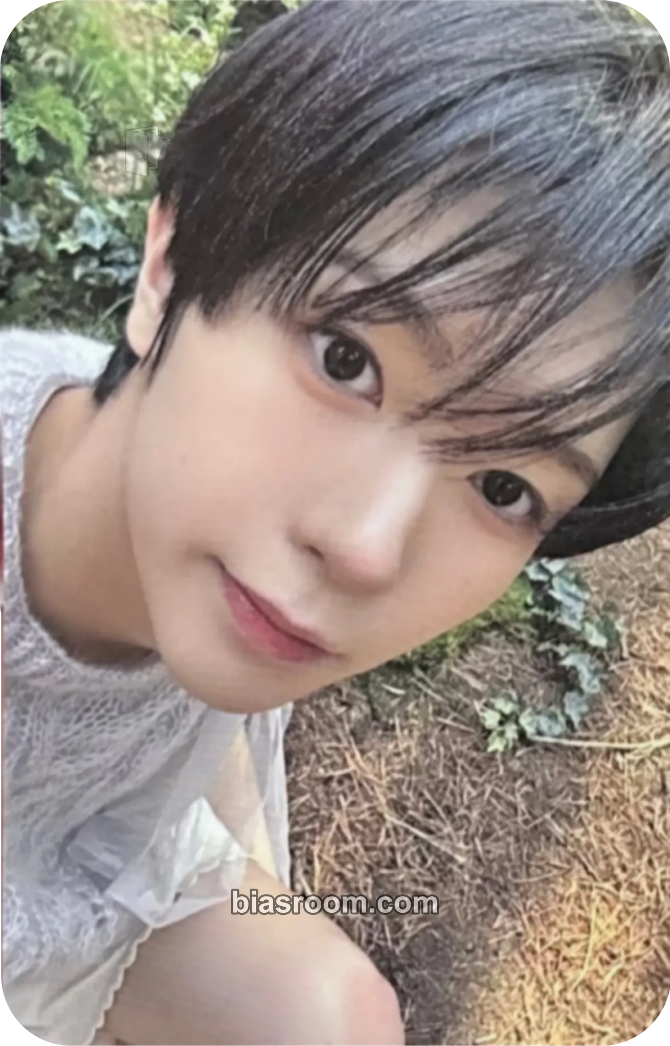 Ryo Ode to Love Photocard - NCT WISH - NCT WISH K-pop photocard