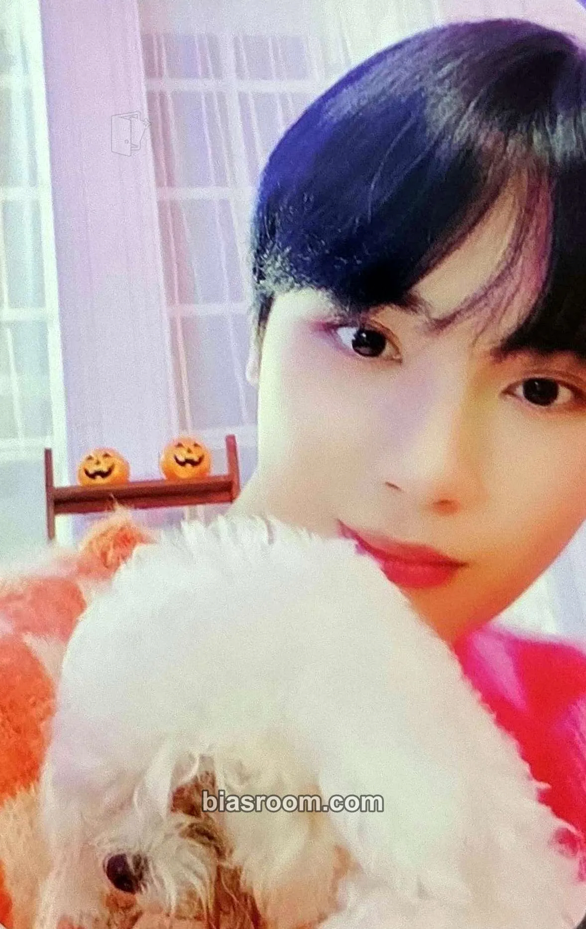 Haknyeon Chase Photocard - THE BOYZ - THE BOYZ K-pop photocard