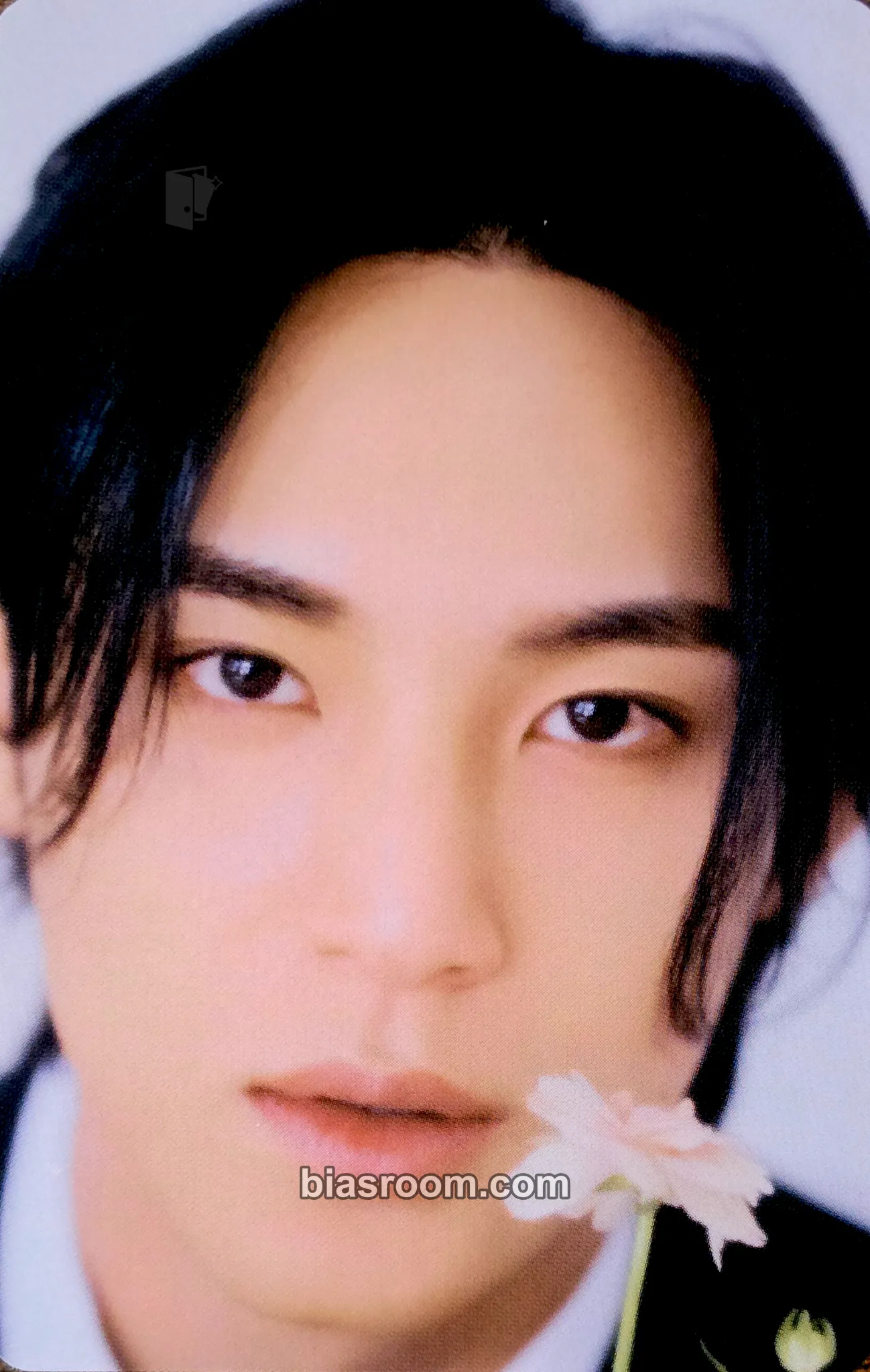 Mingyu FML Photocard - SEVENTEEN - SEVENTEEN K-pop photocard