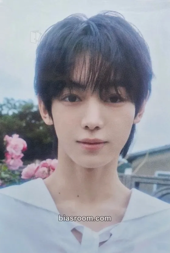 Hanjin Nice to see you again Photocard - TWS - TWS K-pop photocard