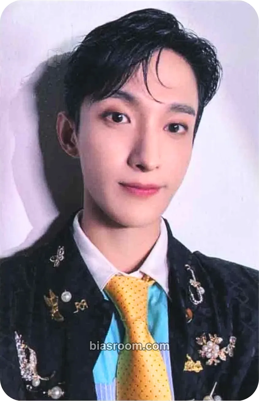 DK Teleparty Photocard - SEVENTEEN - SEVENTEEN K-pop photocard