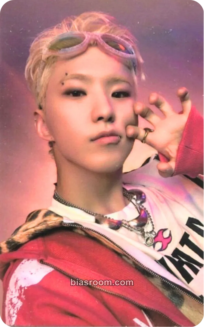 Hoshi Teleparty Photocard - SEVENTEEN - SEVENTEEN K-pop photocard