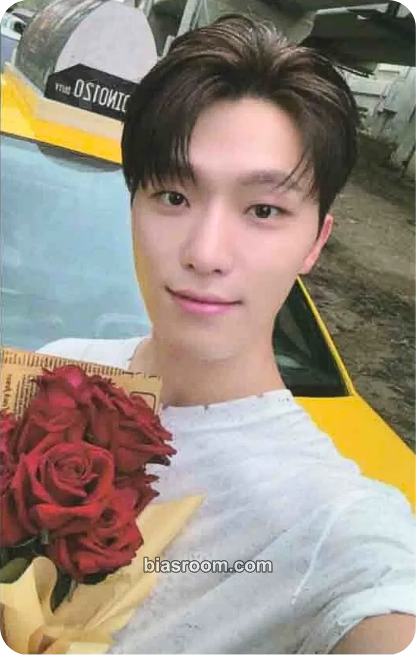 Dino Spill the Feels Photocard - SEVENTEEN - SEVENTEEN K-pop photocard
