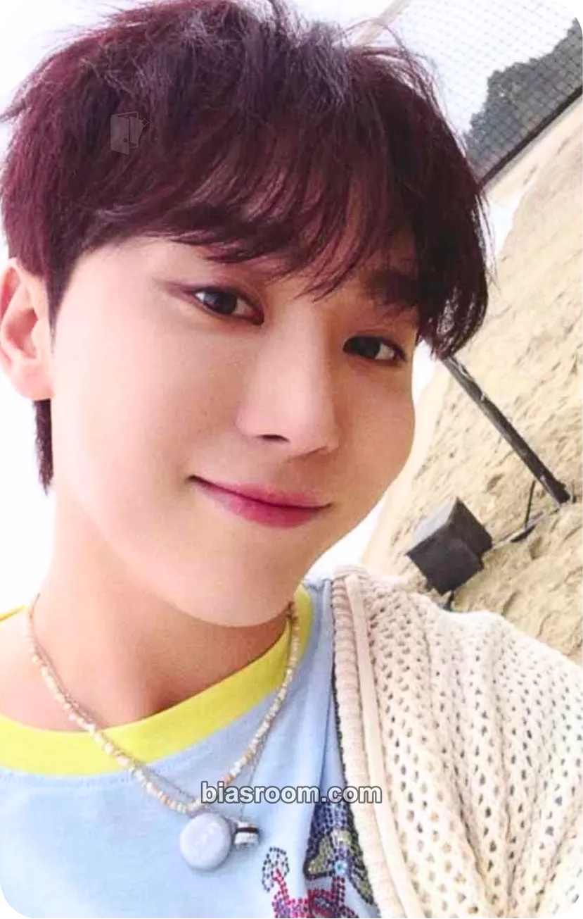 Seungkwan Spill the Feels Photocard - SEVENTEEN - SEVENTEEN K-pop photocard