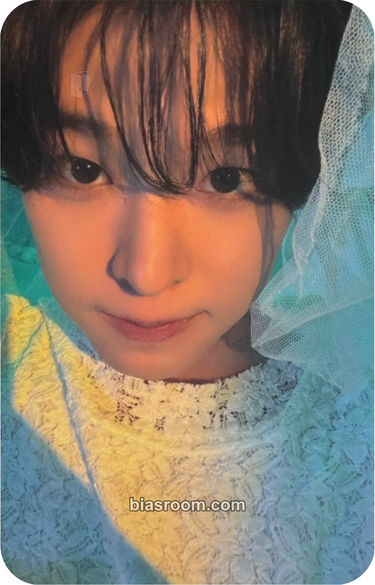 Riku Ode to Love Photocard - NCT WISH - NCT WISH K-pop photocard