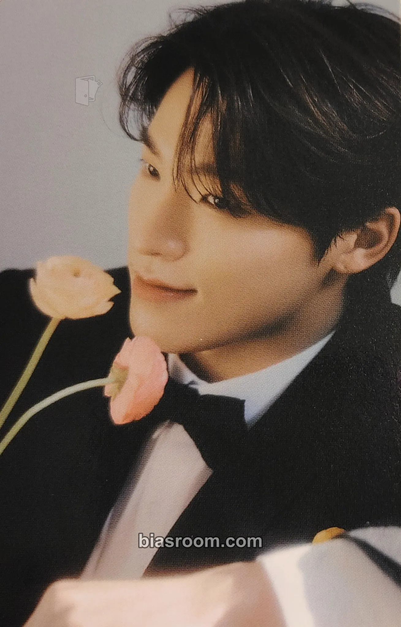 Dino FML Photocard - SEVENTEEN - SEVENTEEN K-pop photocard