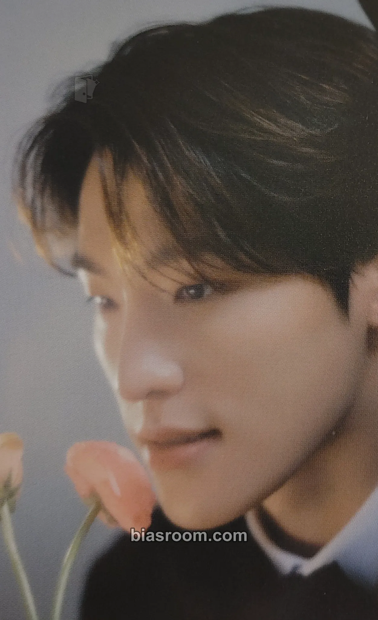 Dino FML Photocard - SEVENTEEN - SEVENTEEN K-pop photocard
