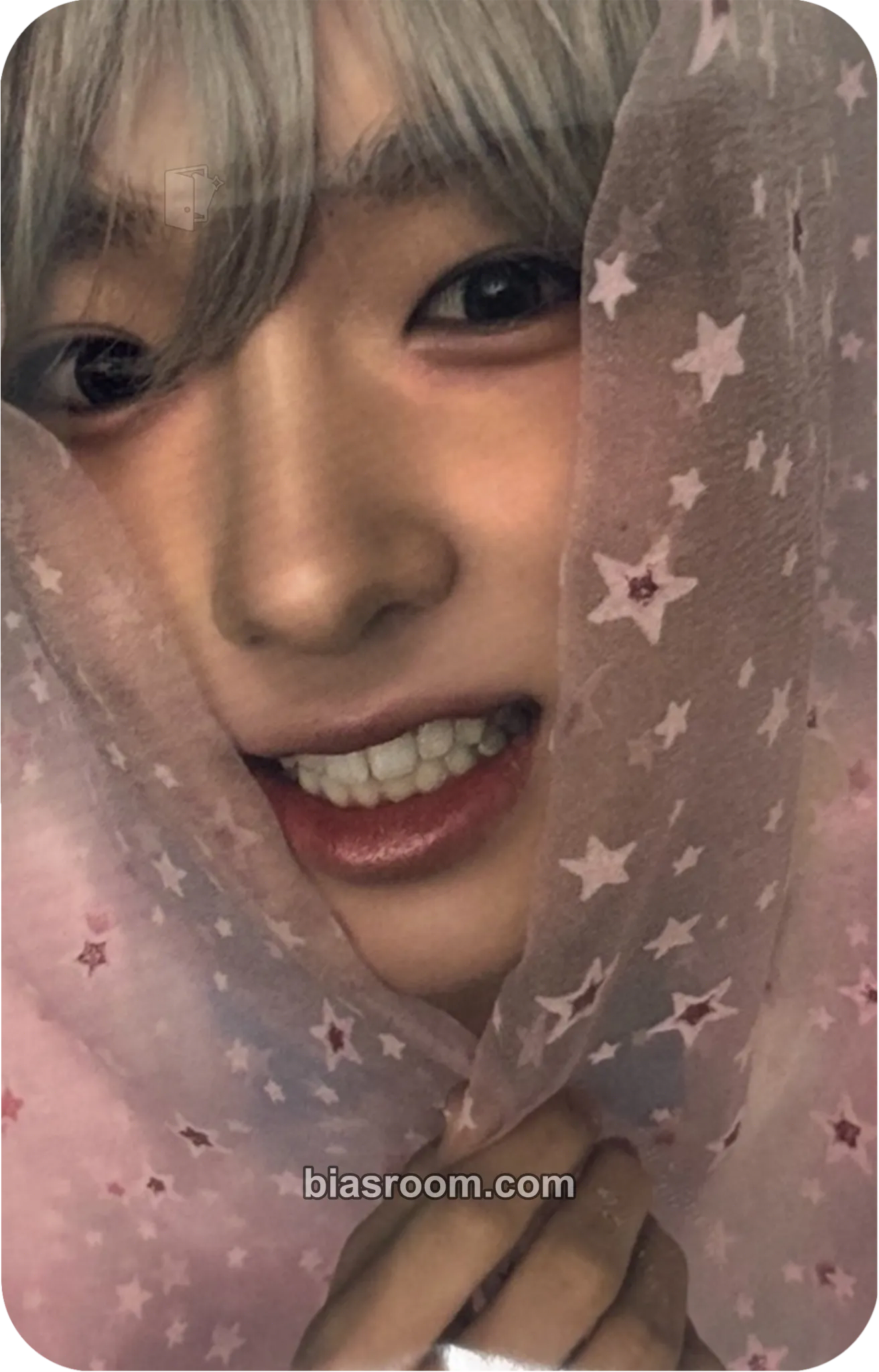 Sakuya Ode to Love Photocard - NCT WISH - NCT WISH K-pop photocard