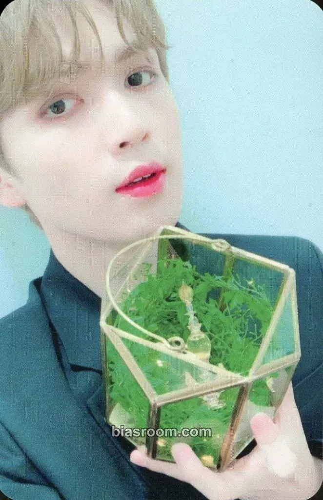Gyujin The Moment of Illusion Photocard - UP10TION - UP10TION K-pop photocard