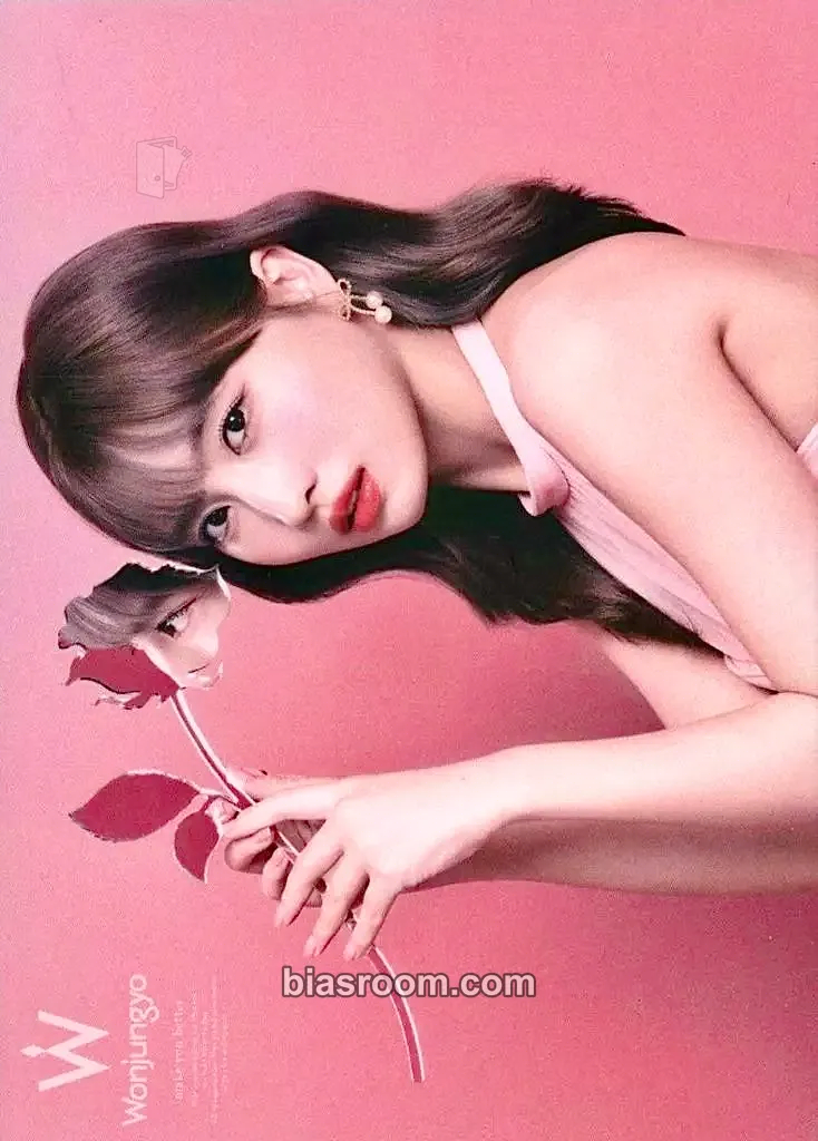 Momo MOMO x Wonjungyo Photocard - TWICE - TWICE K-pop photocard