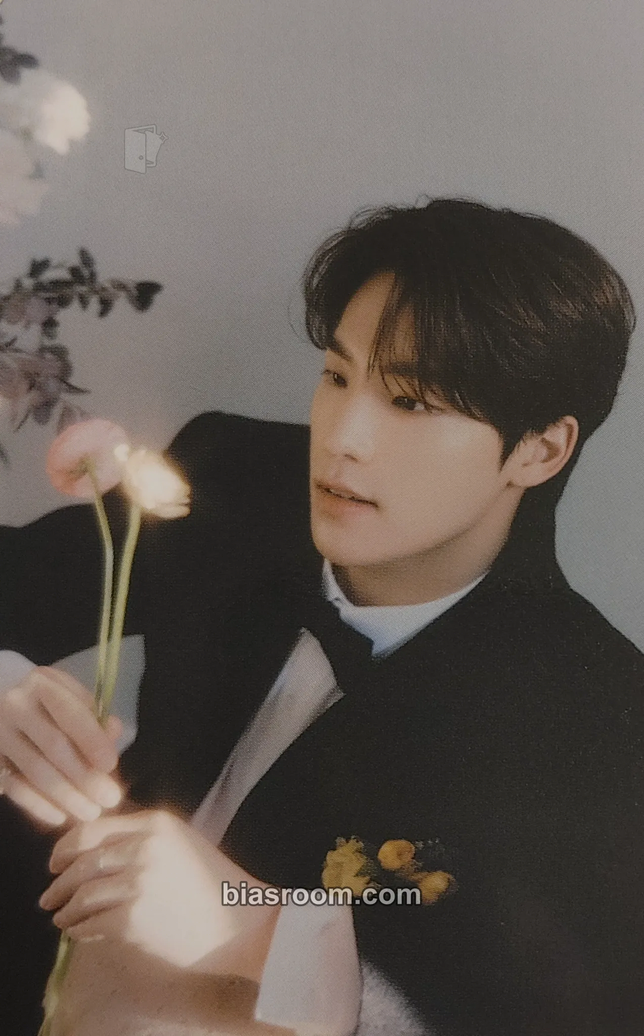 Dino FML Photocard - SEVENTEEN - SEVENTEEN K-pop photocard