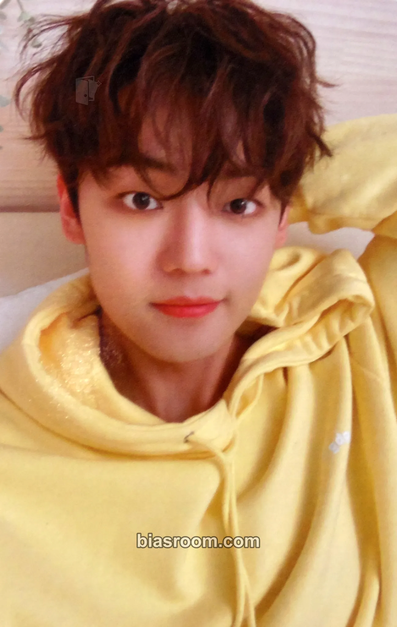 Kang Yuchan A.C.E Remember US Photobook & DVD Photocard - A.C.E - A.C.E K-pop photocard