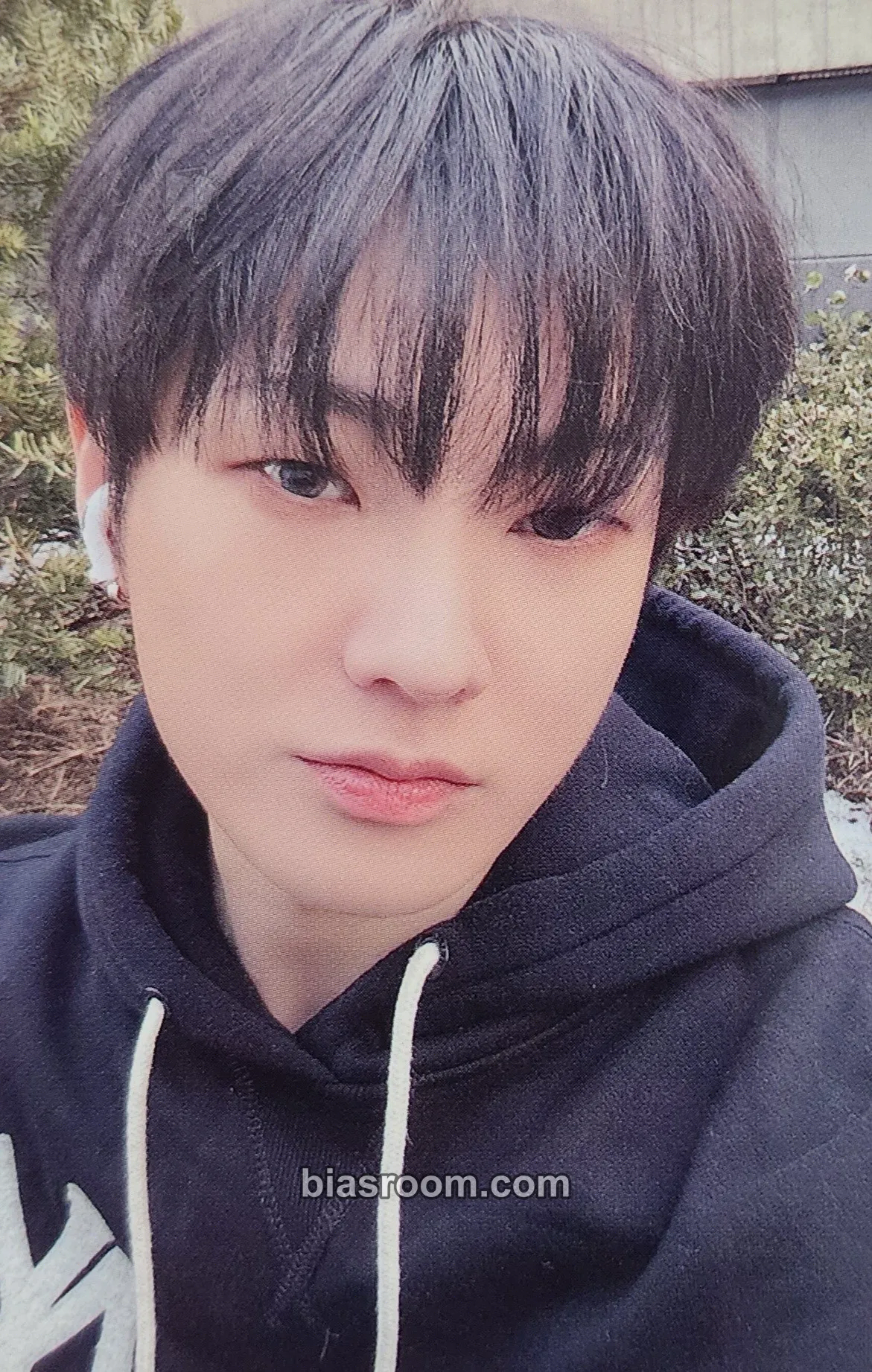 Hanse Choice Photocard - VICTON - VICTON K-pop photocard