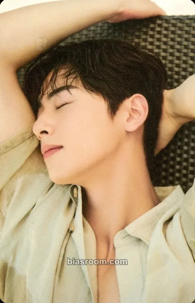 ASTRO - Cha Eunwoo - Cha Eunwoo 2022 Official Photobook [Magazine] Other merch photocard trading card
