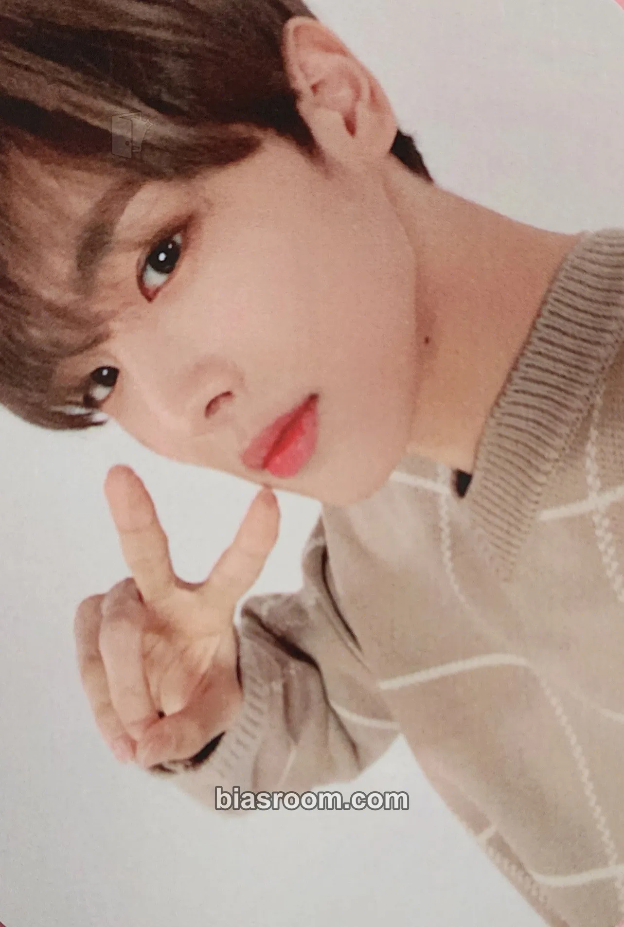 Byungchan Voice To ALICE Photocard - VICTON - VICTON K-pop photocard
