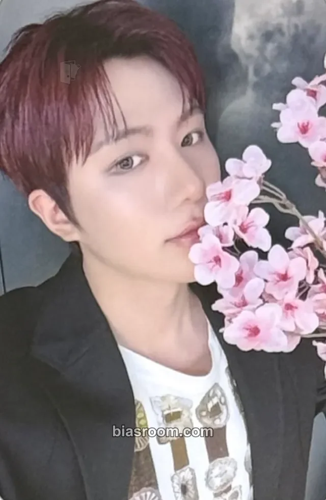 DAILY:DIRECTION - EN-KIM - FIRST:DELIVERY Album mystargoods (MSG)