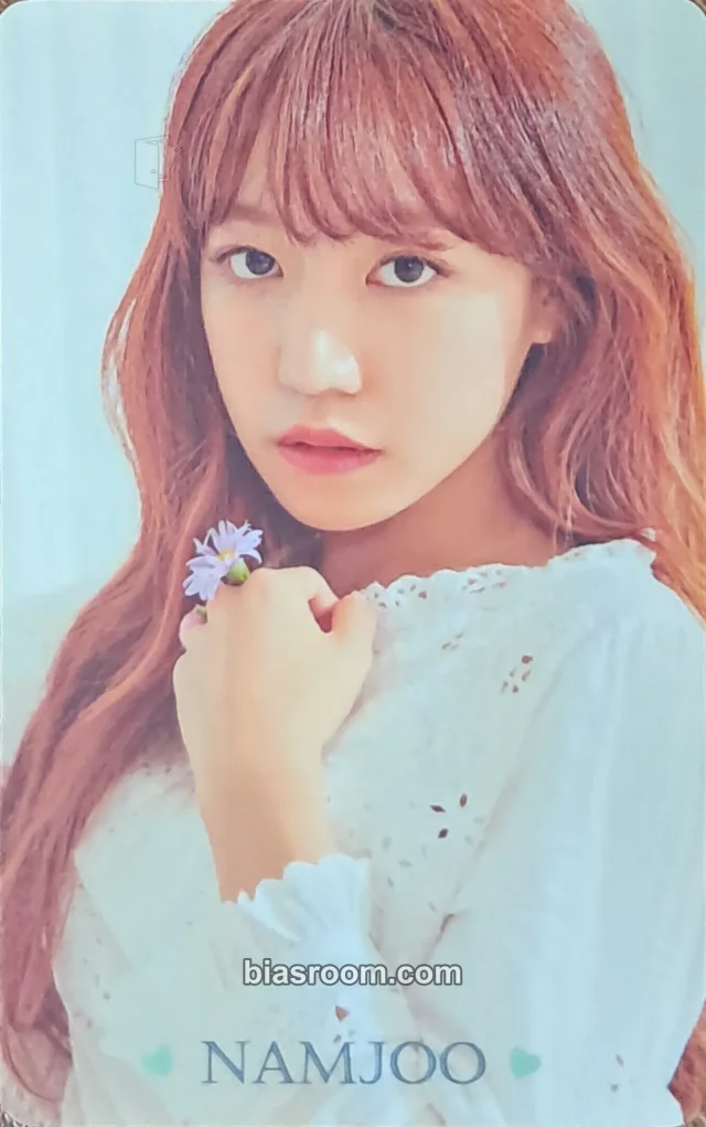 Apink - Namjoo - 2017 season’s greetings “Dear” Other
