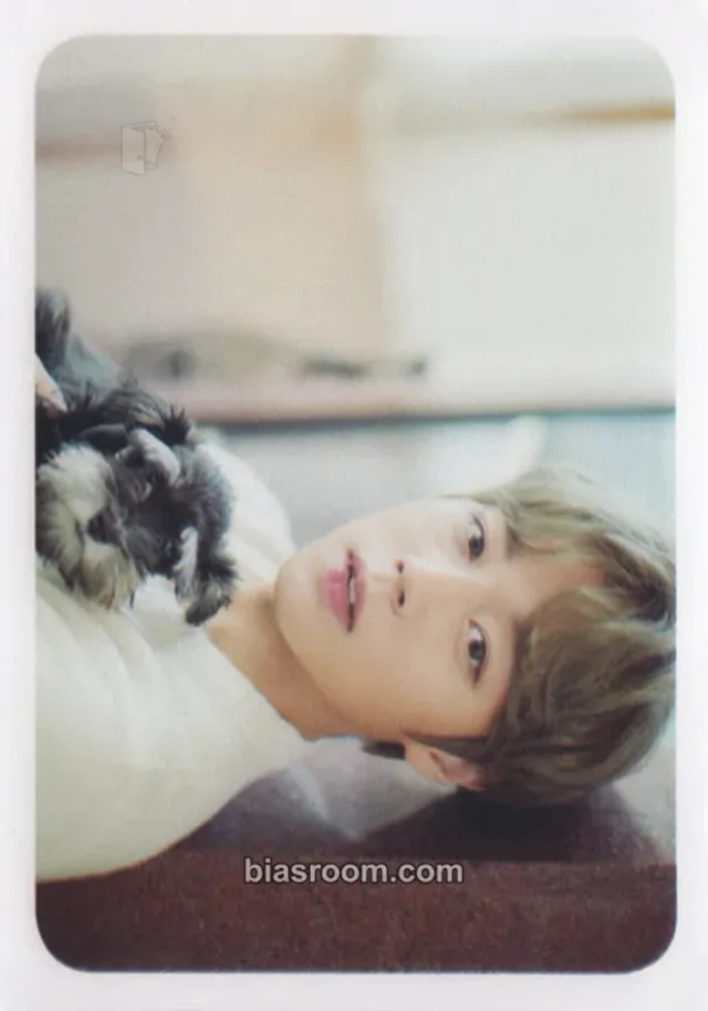 Wanna One - Jihoon - DICON Vol.4 "do u WANNA special ONE?" Other standard version transparent